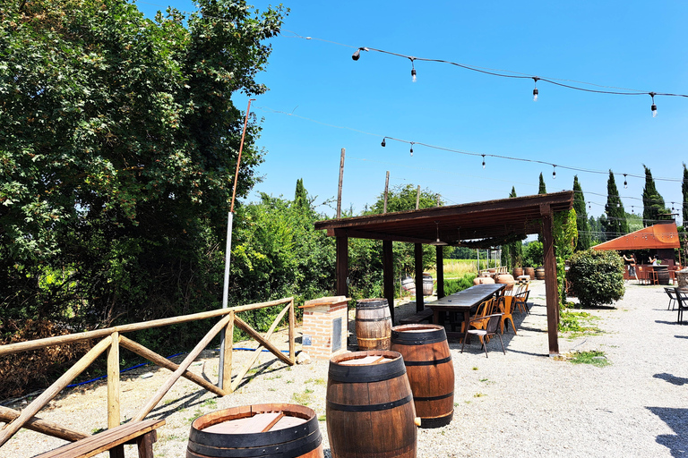 رحلة نصف يوم إلى شيانتي: تذوق قلب توسكاناخيار المجموعة الصغيرة (حتى 30 شخصًا)