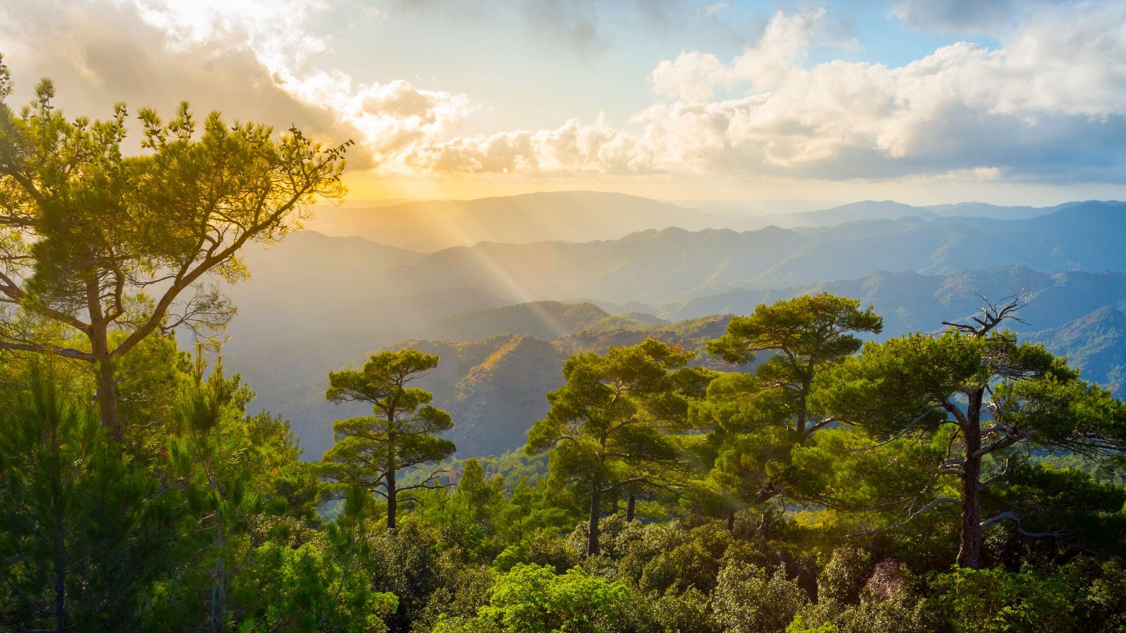 Ab LARNACA/AYIA NAPA/PROTARAS: Nikosia und das Troodos-Gebirge