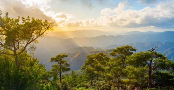 From LARNACA/AYIA NAPA/PROTARAS: Nicosia & Troodos Mountains