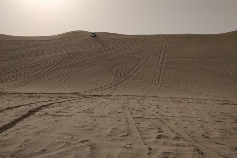 Qatar Desert Safari: Camel Ride, Sandboarding, Inland Sea.