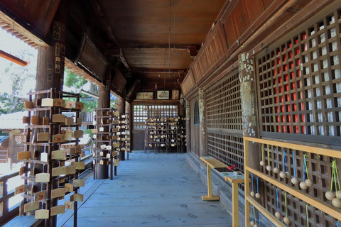 Osaka/Kyoto: Amanohashidate & Ine Funaya & Ine Bay Day Tour Excludes Cable Car & Cruise: 8:00AM Osaka