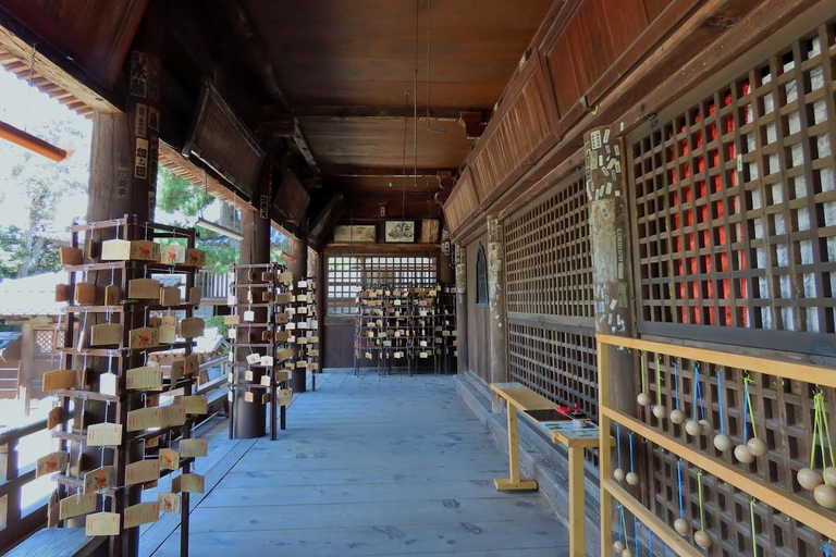 Osaka/Kyoto: Amanohashidate & Ine Funaya & Ine Bay Day Tour Excludes Cable Car & Cruise: 8:00AM Osaka