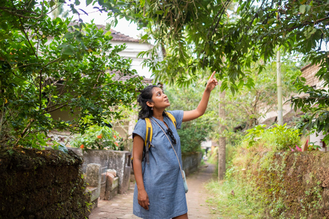 Saligao: Paseo por el pueblo de Saligao