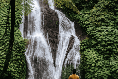 Bali: North Bali Waterfalls, Temples, and Rice Terraces Tour Private Tour with Hotel Pick-Up and Drop-Off in Munduk Area