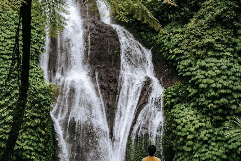 Bali: North Bali Waterfalls, Temples, and Rice Terraces Tour Private Tour with Hotel Pick-Up and Drop-Off in Munduk Area