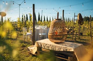 Abendessen bei Sonnenuntergang in den Weinbergen – Kleingruppe ab Siena