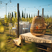 Abendessen bei Sonnenuntergang in den Weinbergen – Kleingruppe ab Siena