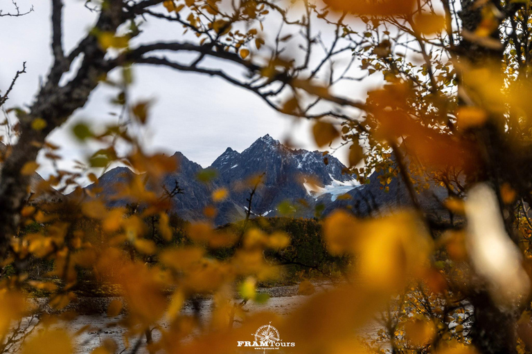 特罗姆瑟：正宗林根阿尔卑斯山探险之旅（含美景午餐）特罗姆瑟：正宗的林根阿尔卑斯山探险之旅（含美景午餐）