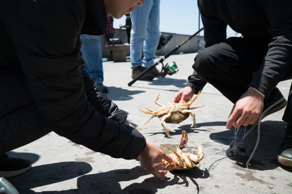 San Francisco: The Art of Crabbing in the Bay Area image 3