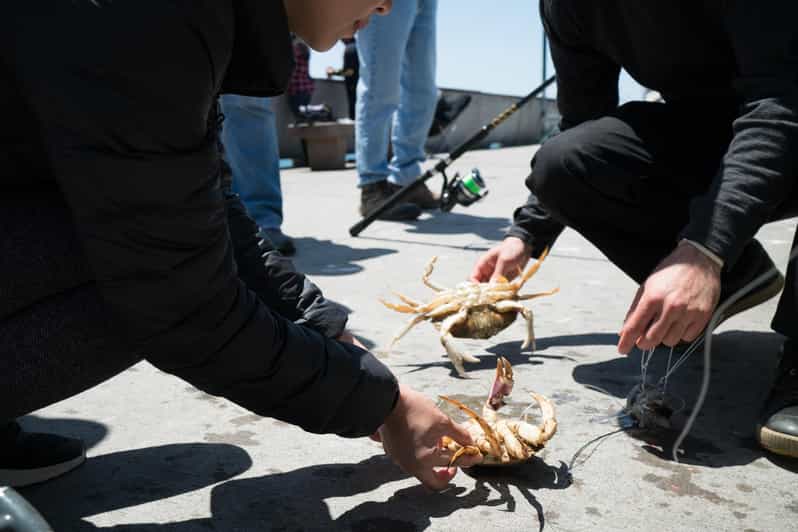San Francisco The Art of Crabbing in the Bay Area GetYourGuide