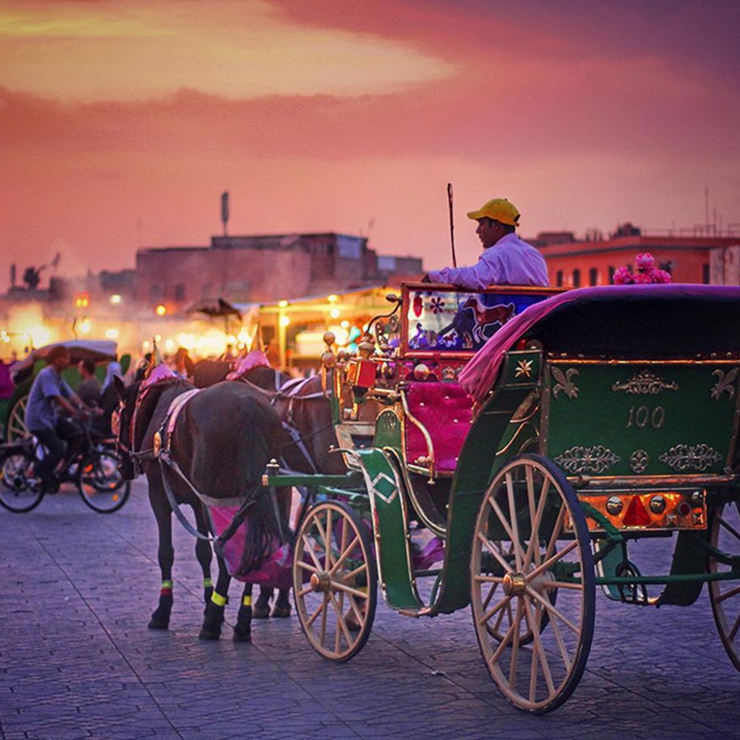 Visite nocturne de la ville : Souks et Médina avec Caleche by Night - medina