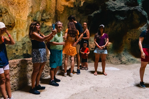 Willemstad: Hato Caves, Turtle Beach, Kenepa, and Flamingos