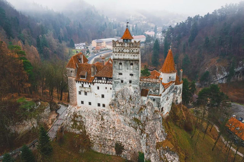 Brasov: Bears, Dracula's Castle & Local Flavors Private Tour