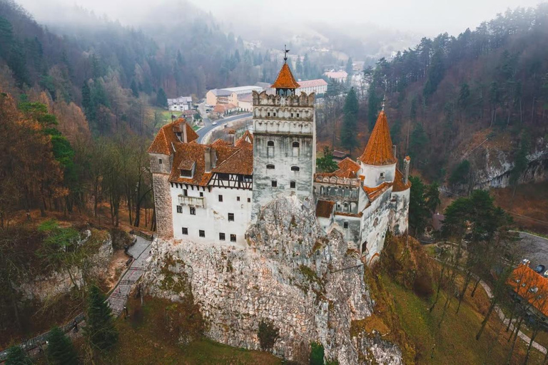 Brasov: Bears, Dracula's Castle & Local Flavors Private Tour
