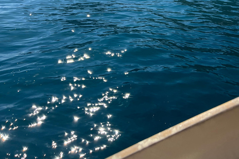 Excursion inoubliable en bateau