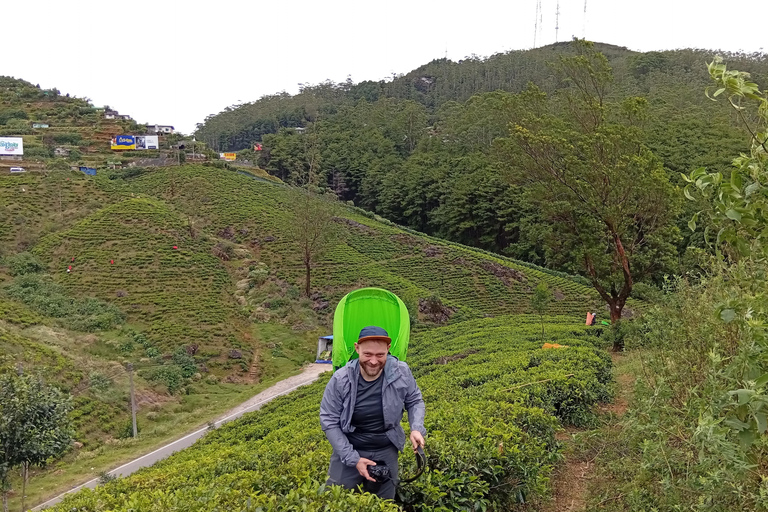 乘坐嘟嘟车探索康提街头美食：锡兰风味乘坐嘟嘟车探索康提街头美食：品味锡兰风味
