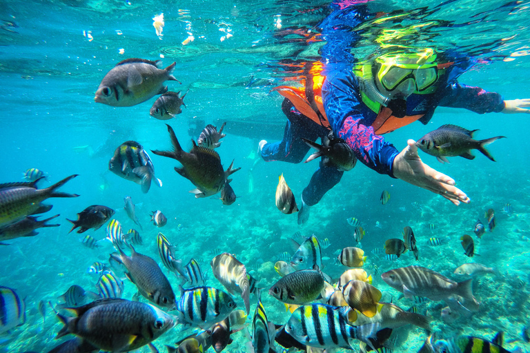 Lombok: Romantic Island Escape—Gili Nanggu, Sudak & Kedis Start From : Tetebatu,Bangsal Port,Teluk Nara Port