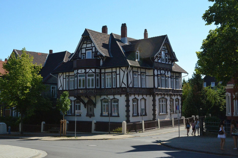 Goslar Private Guided Walking Tour