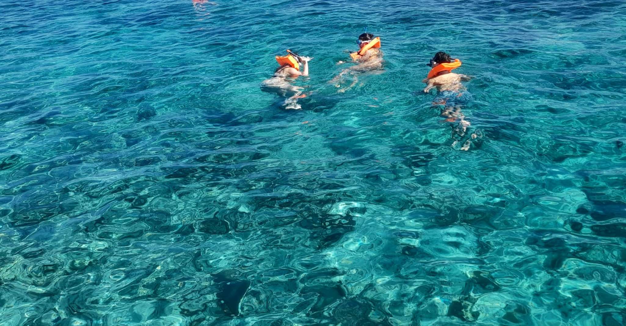 Nassau, Pigs de natation Visite en bateau privé - jusqu'à 7 personnes - Hizvo