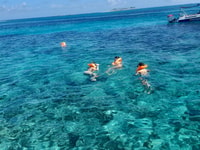 Nassau, Pigs de natation Visite en bateau privé - jusqu'à 7 personnes - Hizvo