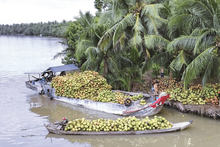 Lokale dagtrip zonder toerisme in de Mekong Delta Ben TreLokale dagtrip zonder toerisme in de Mekongdelta Dagtrip Ben Tre