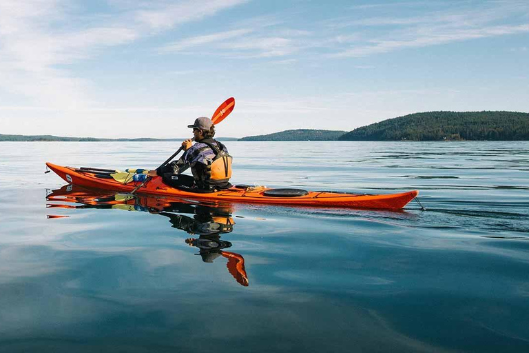 San Juan Island: West Side Half Day Kayak Tour Half Day