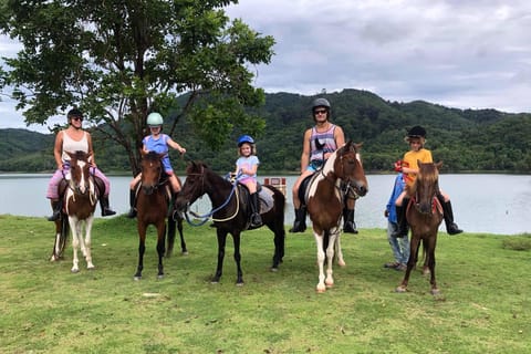 Phuket Jungle Horseback Ride with Scenic Forest Views