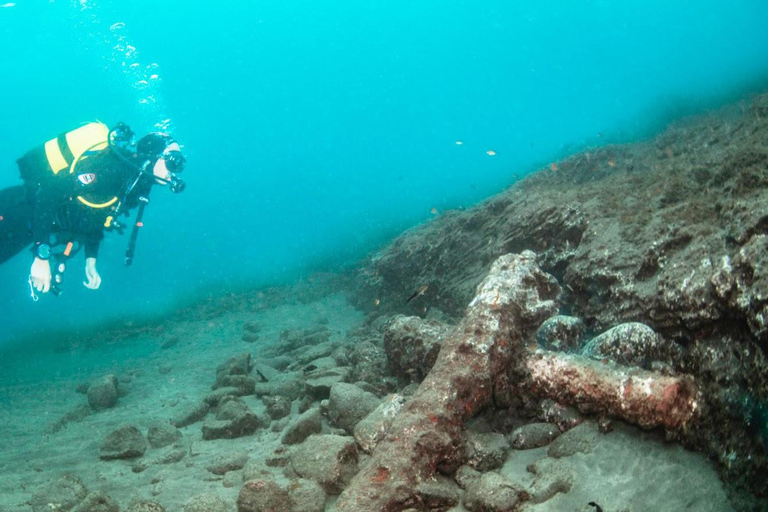 Snorkeling Tour- Vila Franca do Campo Islet
