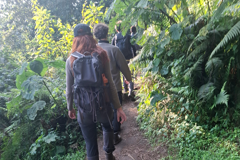 Arusha: Napuru Waterfalls Guided Hike and Village Visit