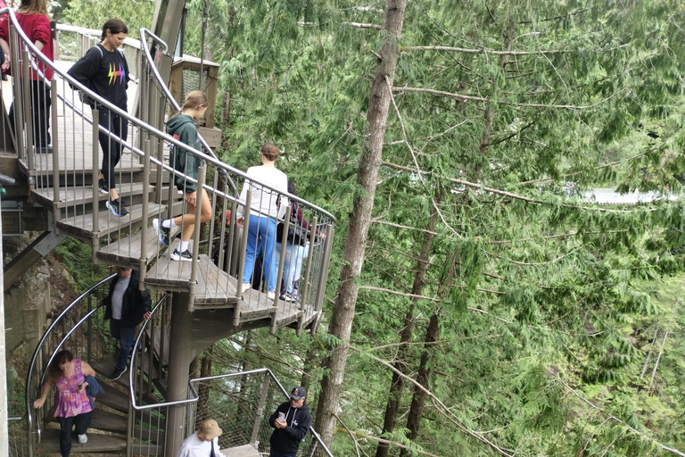 Ponte sospeso di Capilano/Tour privato in auto/Prezzo garantito