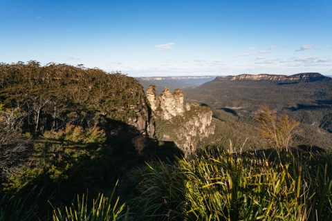 Van Sydney: Blue Mountains Nature and Wildlife Tour