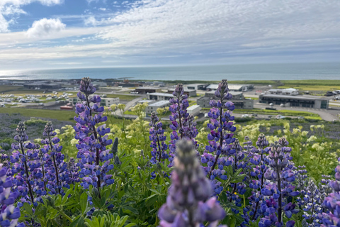 Explore Iceland with Amigos Iceland Tours from Reykjavik