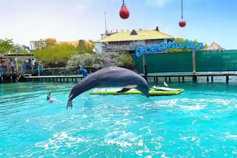 De Cartagena: Excursão de 1 dia às Ilhas do Rosário e Oceanário