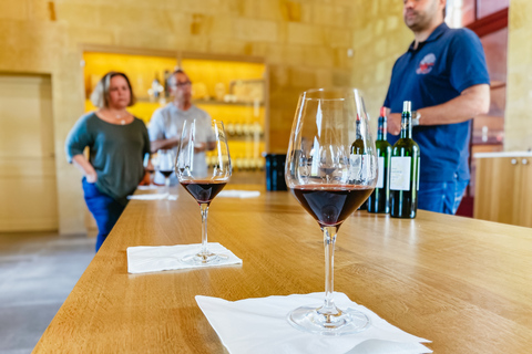 Au départ de Bordeaux : visite guidée de dégustation de vins de Saint-Emilion