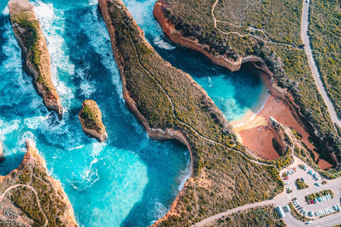 Da Melbourne：Great Ocean Road Reversed Route Tour di un giorno intero