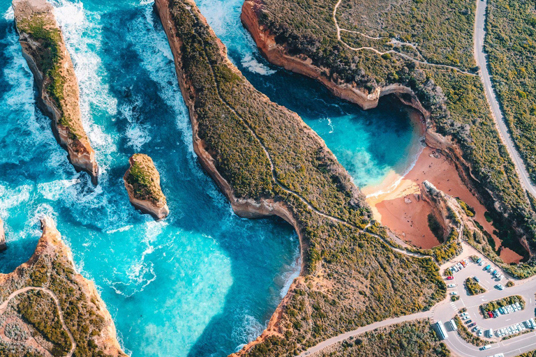 Da Melbourne：Great Ocean Road Reversed Route Tour di un giorno intero