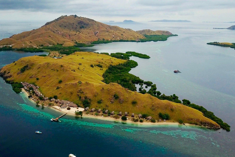 Labuan Bajo: Day Trip Snorkeling with Manta Rays and Turtles