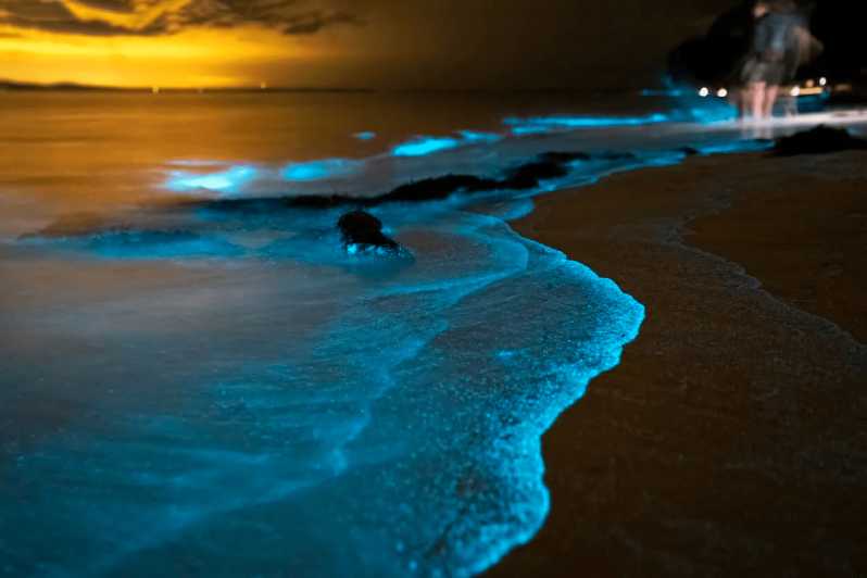 Phuket: Phang Nga Bay Bioluminescent Plankton and Sea Canoes