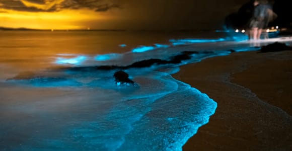 Phuket: Bioluminiszierendes Plankton und Seekanus in der Phang Nga Bay