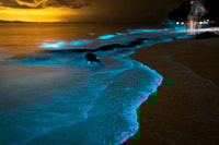 Phuket, Phang Nga Bay Bioluminescent Plankton and Sea Canoes - Housity