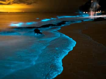 Phuket: Phang Nga Bay Bioluminescent Plankton and Sea Canoes