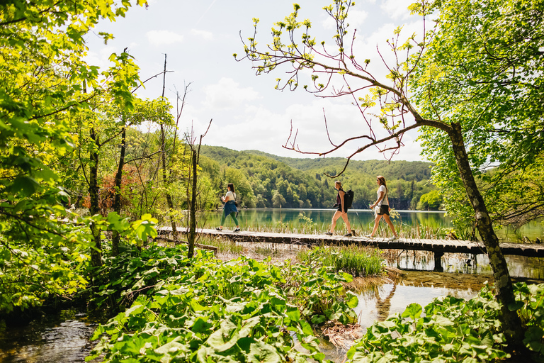 From Split or Trogir: Plitvice Lakes Tour with Entry Tickets Plitvice Lakes: Group tour from Trogir