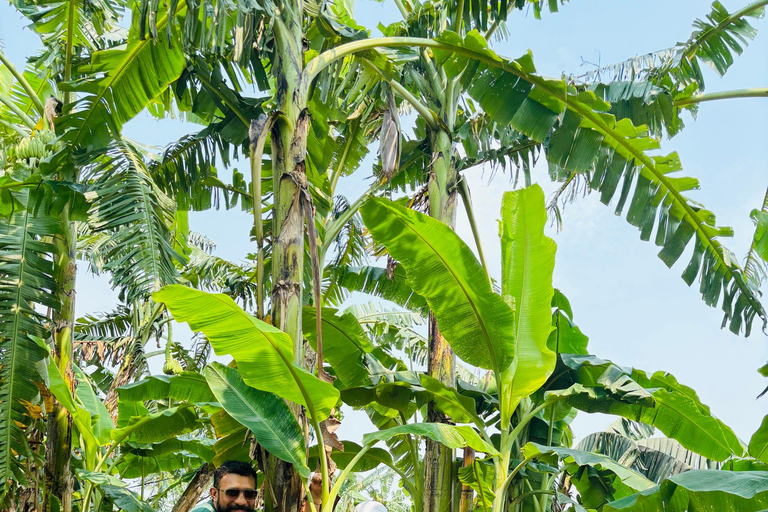 City tour e campo em Hanói 4,5 horasVisita a cidade de Hanói e o campo 4,5 horas