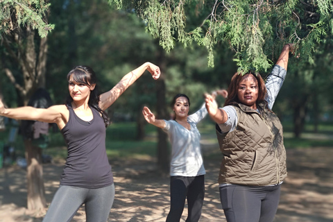 Chinesischer Kung-Fu-Experimentierkurs in PekingKung Fu Kurs