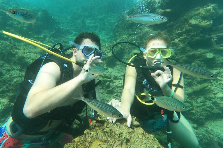 Side Underwater Museum Diving Adventure Side: Guided Scuba Diving Experience with Two Boat Dives