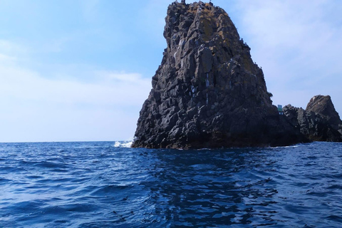 Aci Trezza : visite guidée des grottes d&#039;Ulysse et de la zone de réserve