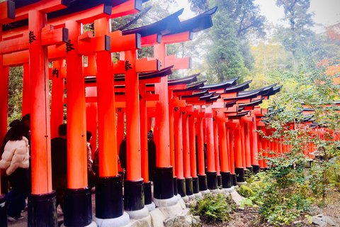 Kyoto Private Day Tour with Luxury Vehicle & English Guide