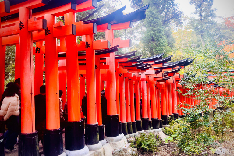 Kyoto Private Day Tour with Luxury Vehicle & English Guide