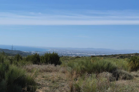 Quad Bike Ride and Excursion in the Heights of Hammamet