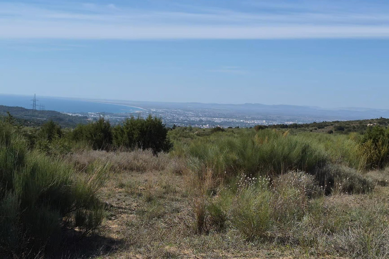 Quad Bike Ride and Excursion in the Heights of Hammamet